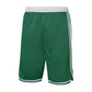 NBA ICON SHORT KIDS CELTICS