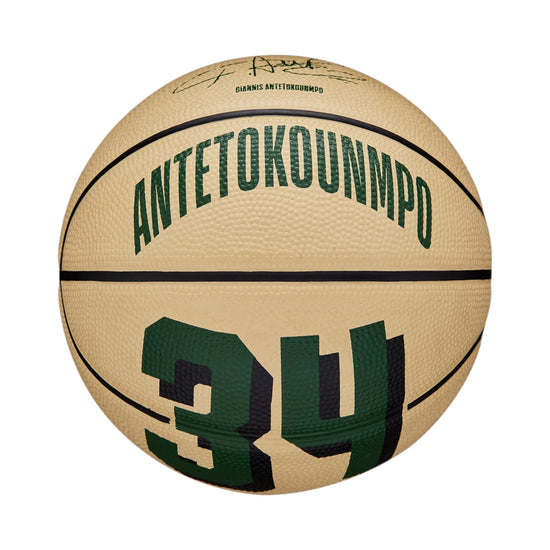 GIANNIS PLAYER ICON MINI BSKT SIZE 3